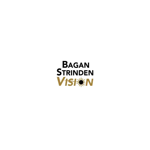 Bagan Strinden Vision