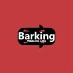 Barking Minicabs Cars