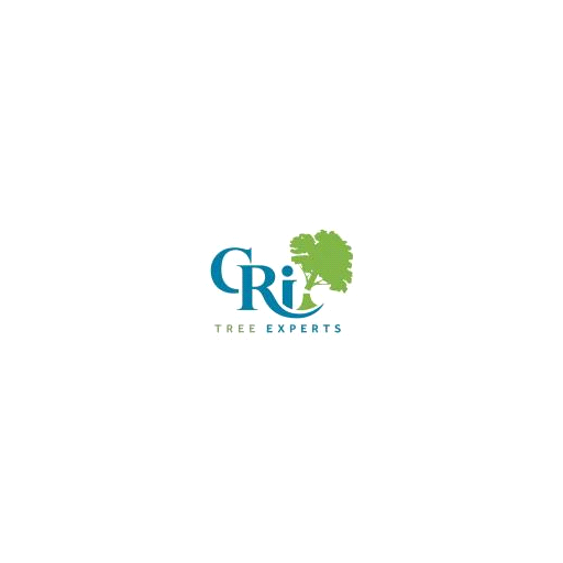 CR Tree Experts