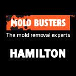 Mold Busters Hamilton