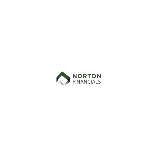 Norton Financials