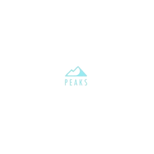 Peaks Digital Marketing