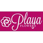 Playa Del Rey Florist