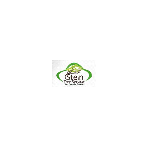 Stein Tree Service